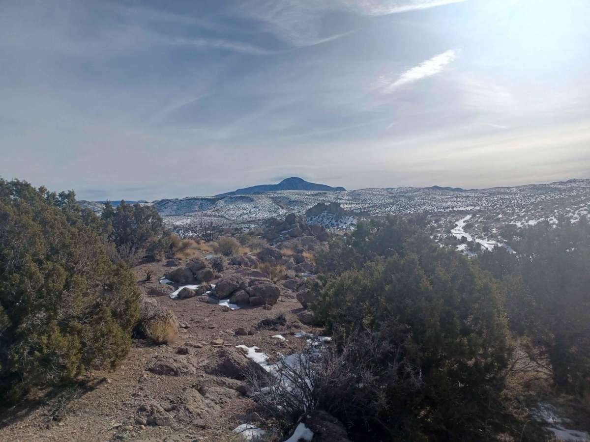 Bird Springs Road photo 2