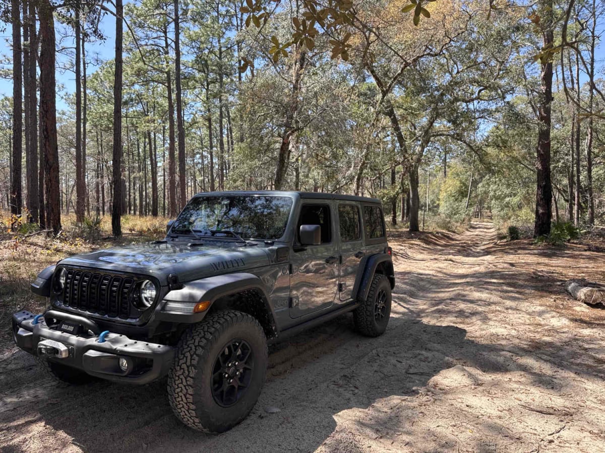 Ocala National Forest Road 8 photo 3