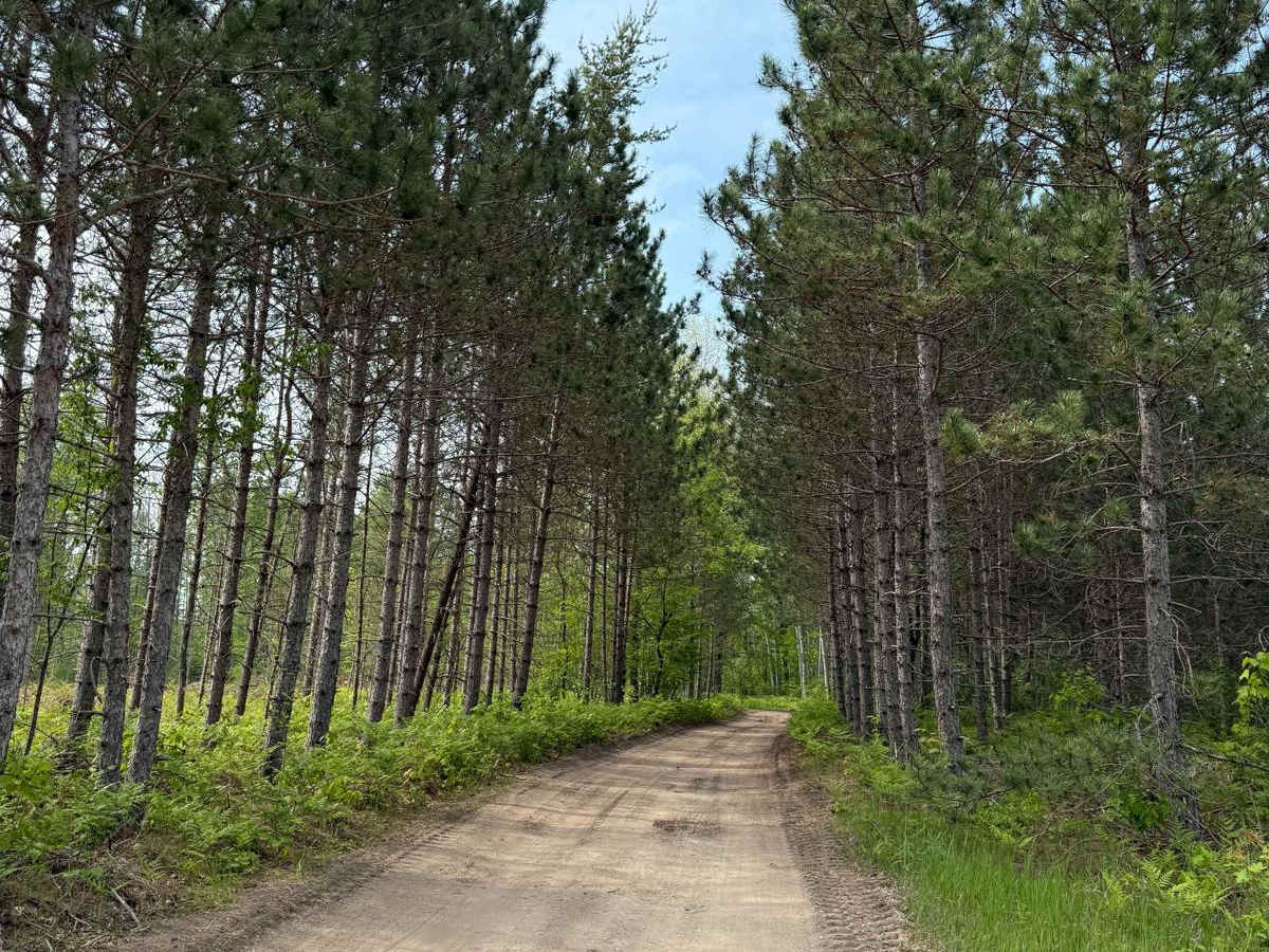 Manistee RXR River Trail photo 2