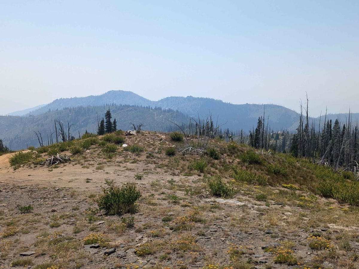 Nut Basin - FR 441 photo 5