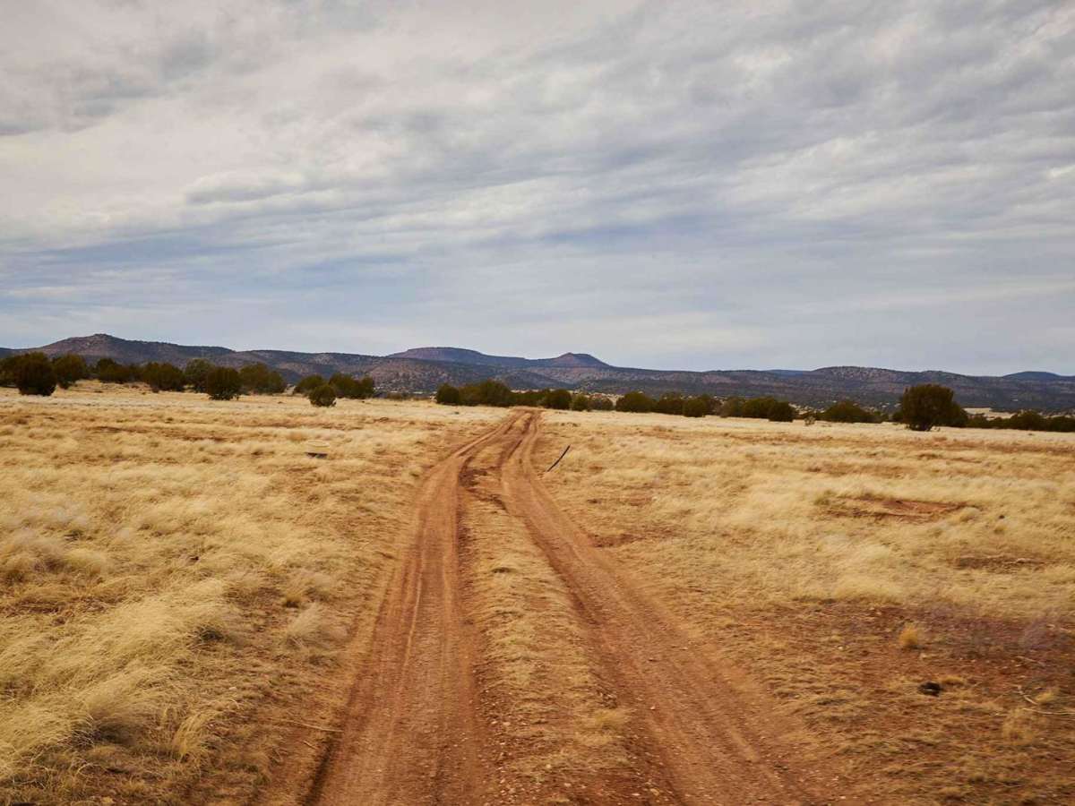 Grade Road Out photo 3