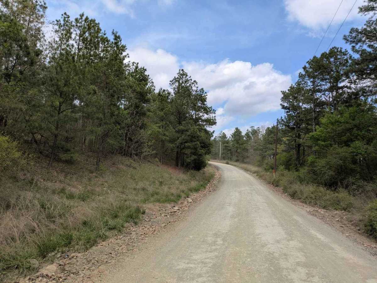 Nani Chito Road photo 6