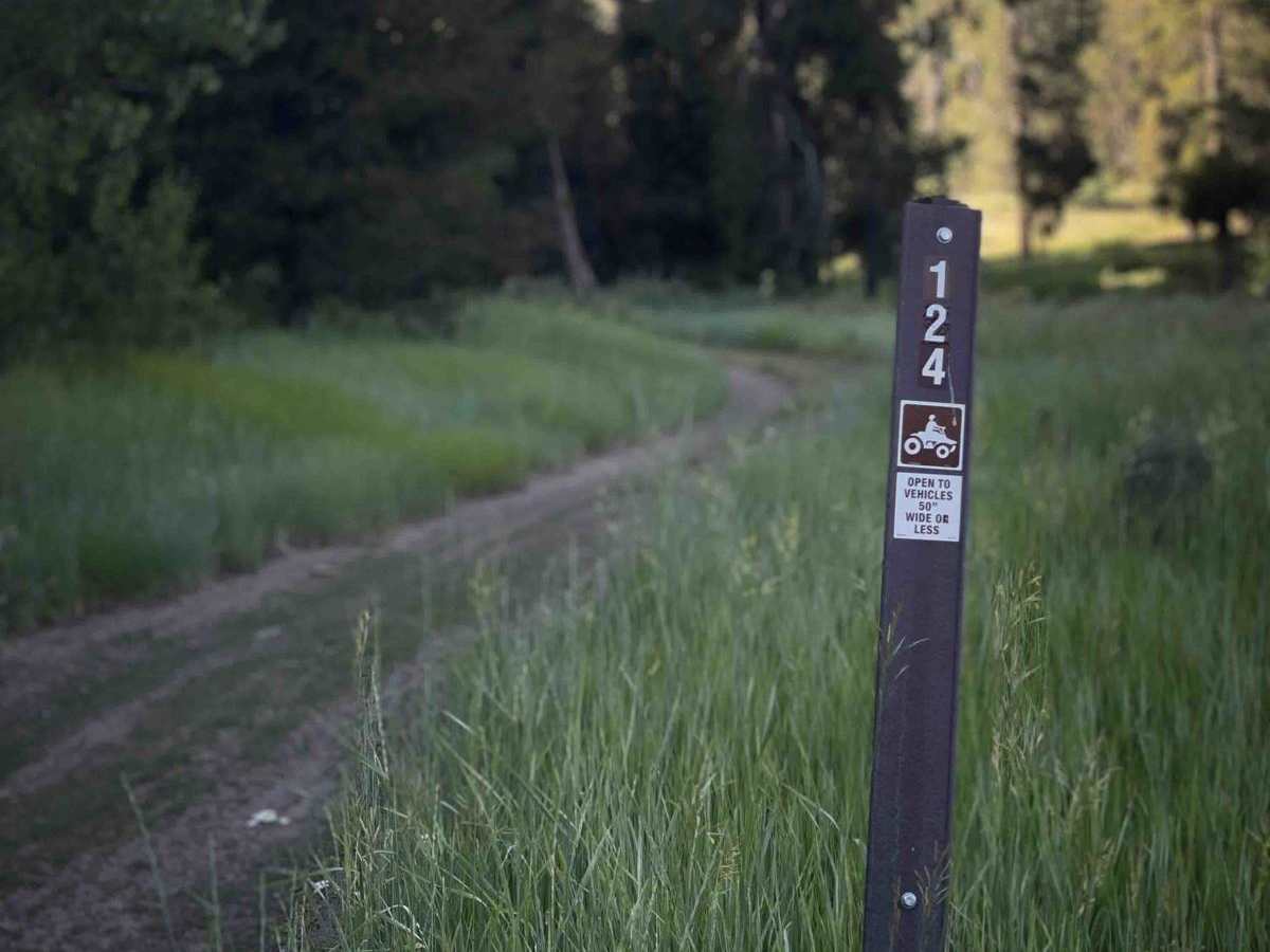 Johnson Creek #5124  trail photo