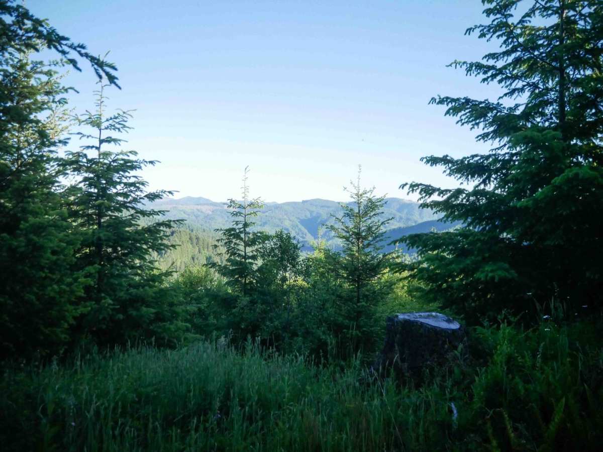 Cobmaster #66 trail photo