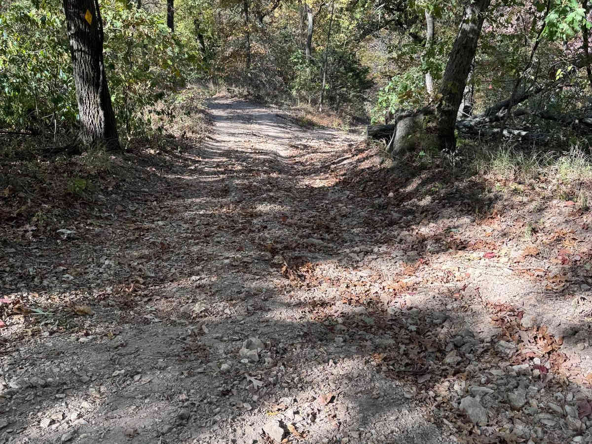 Green 61 trail photo