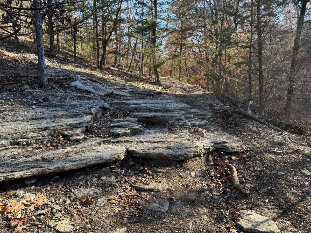 Red 217 trail photo