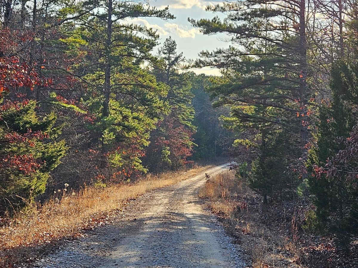 Stringtown Branch - FSR 2550 photo 5