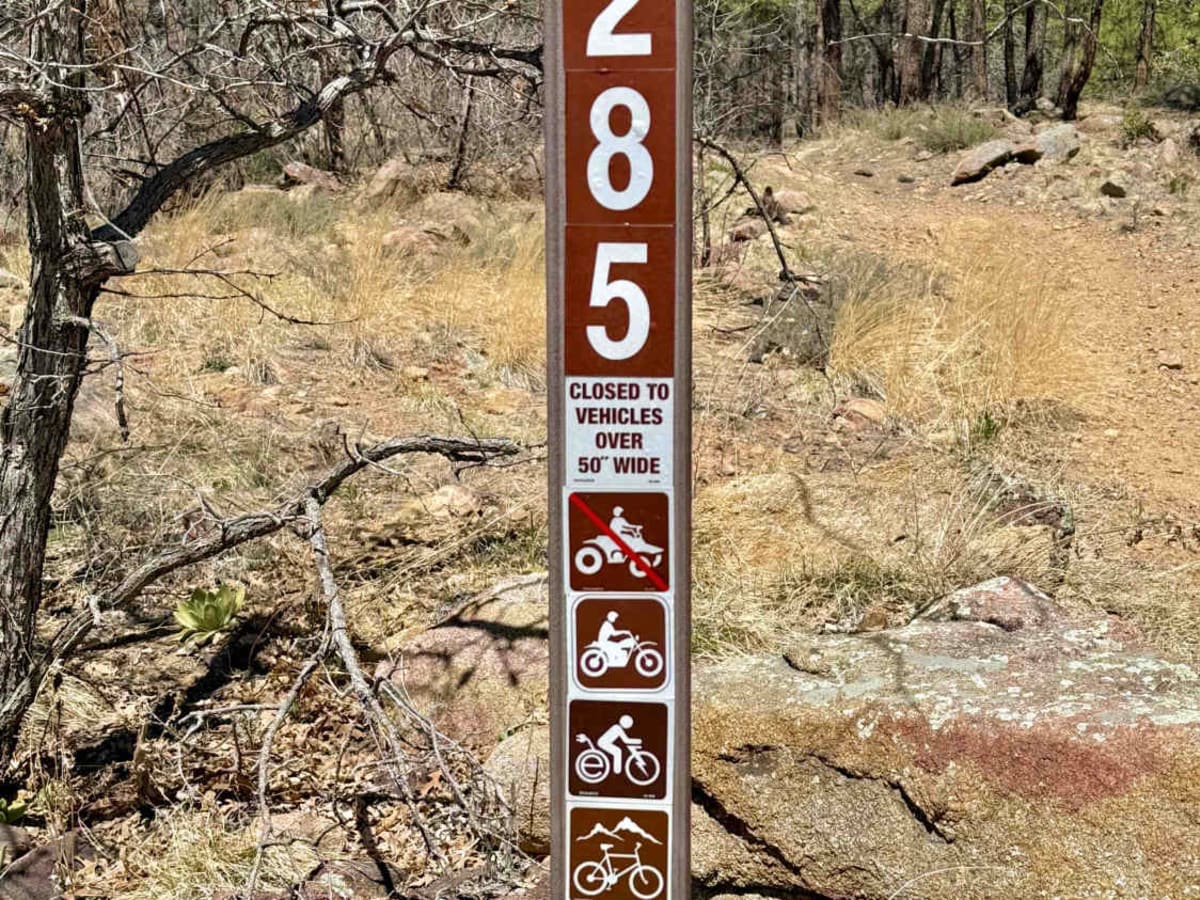 Dandrea trail photo