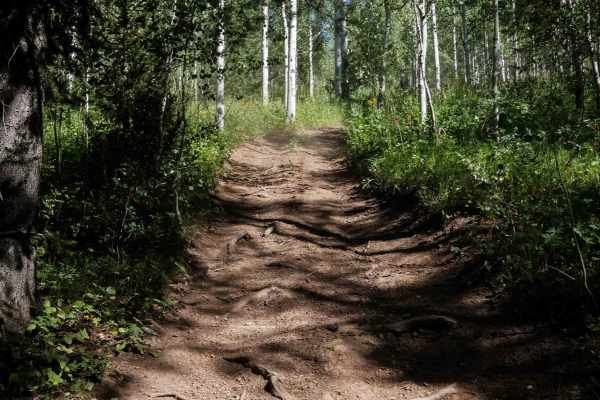 Horseshoe to Harrington #5212 