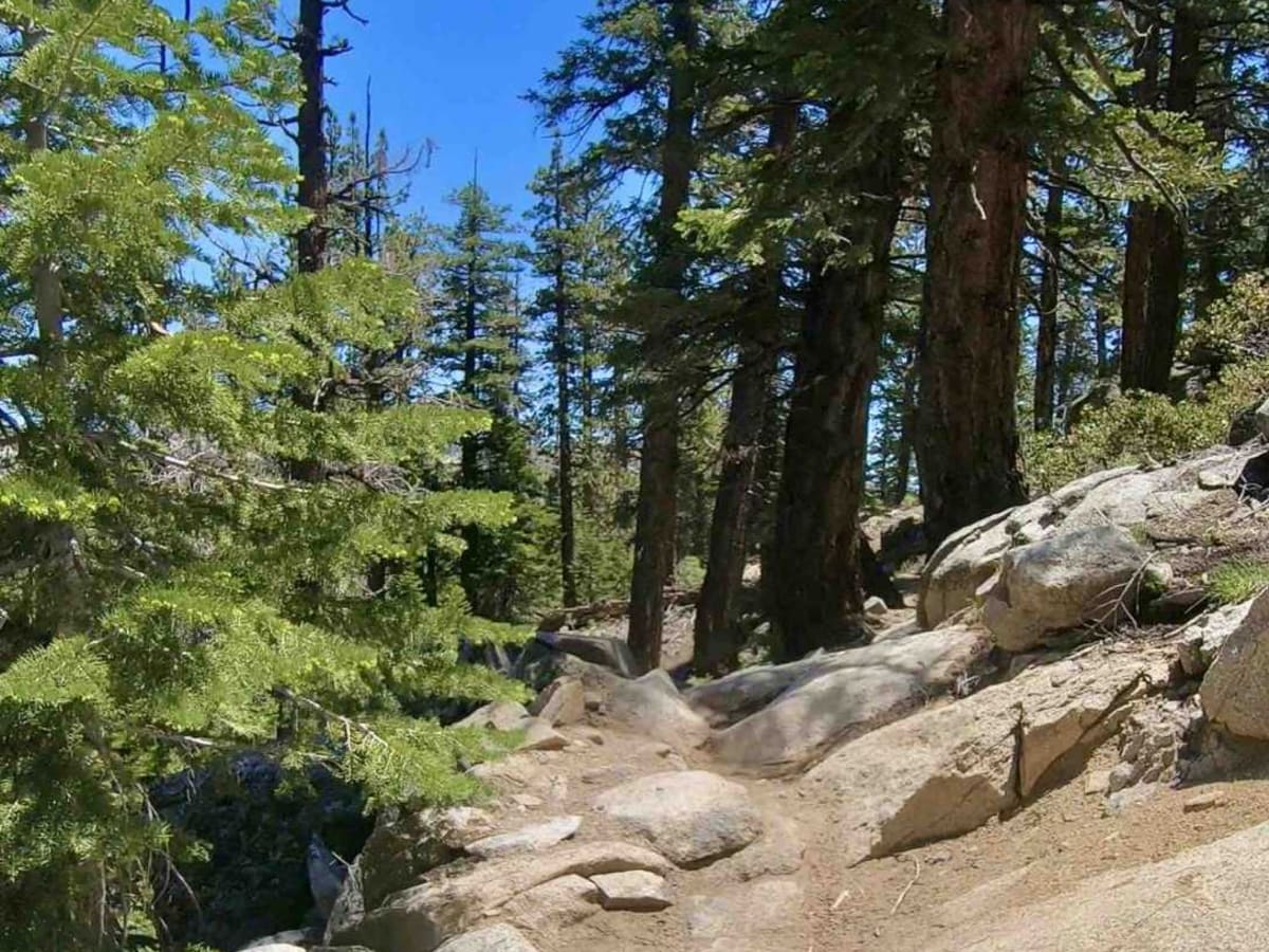 Beach Ridge Trail photo 2