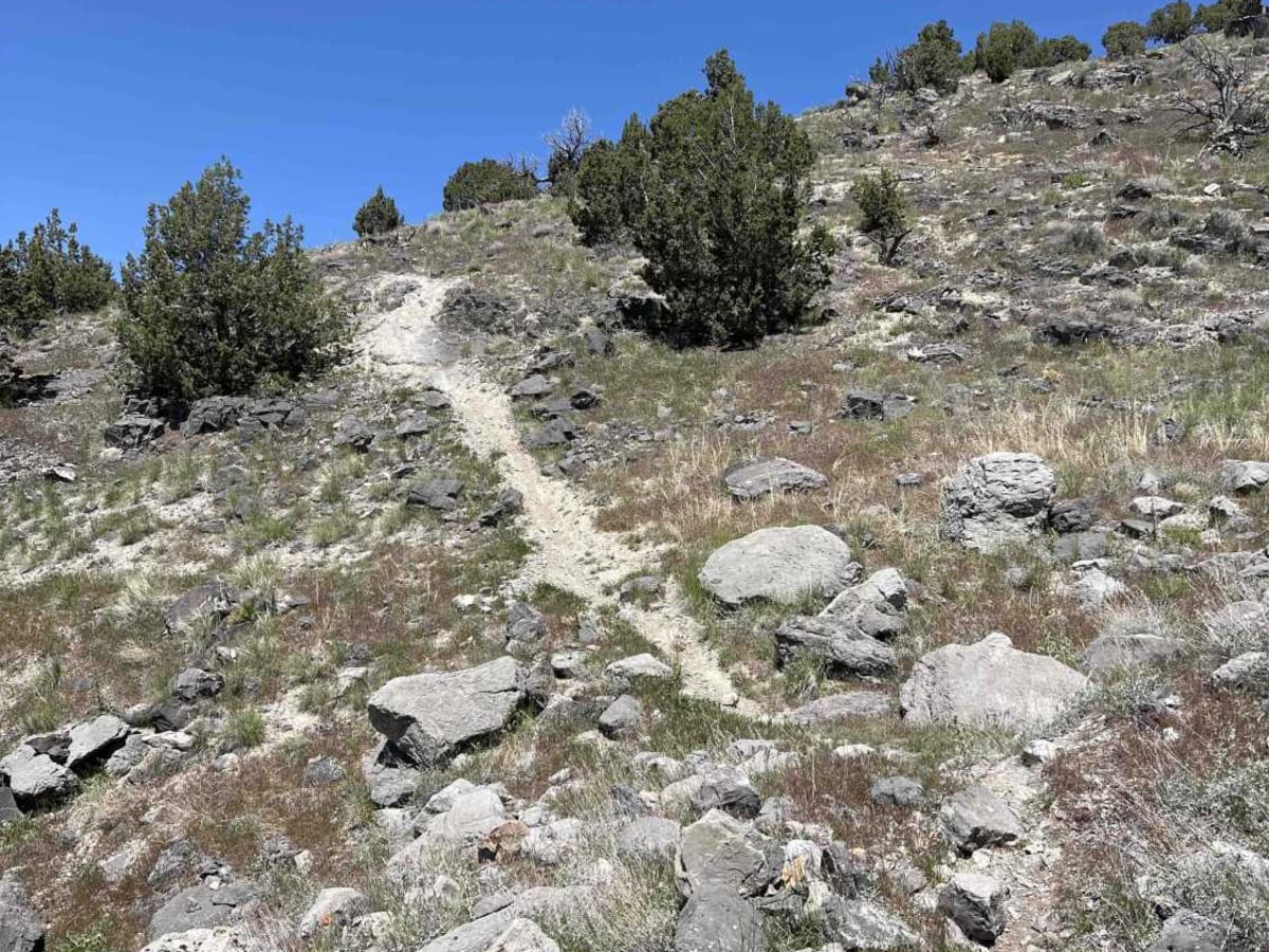 Foothills photo 5