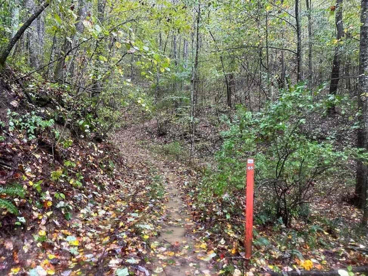 65 Blue trail photo
