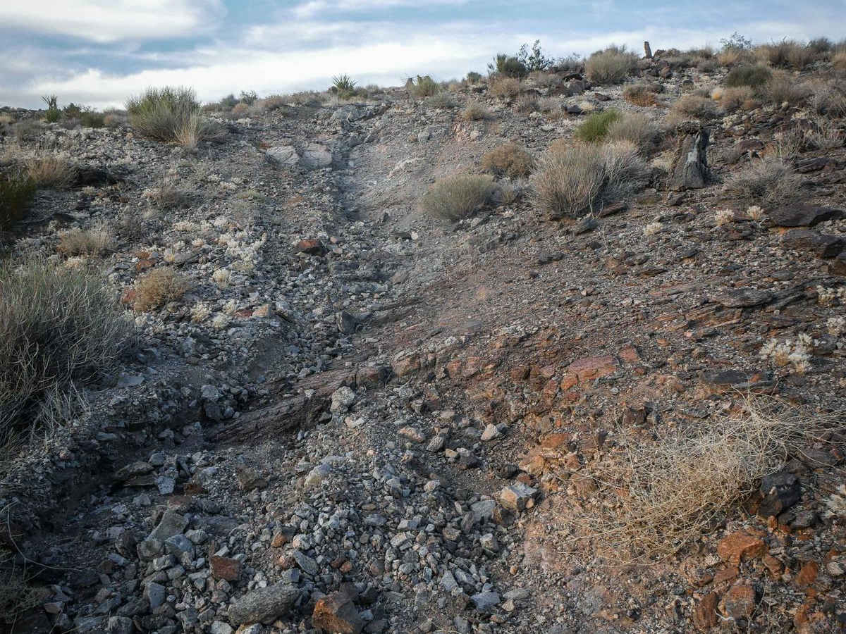 Rock Ridge Single Track photo 5