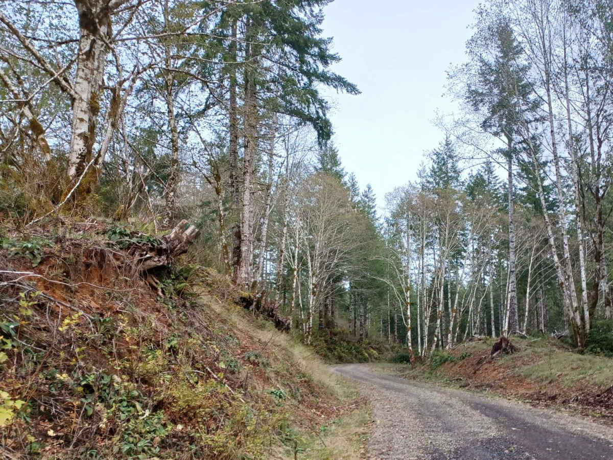 Cedar Creek photo 3