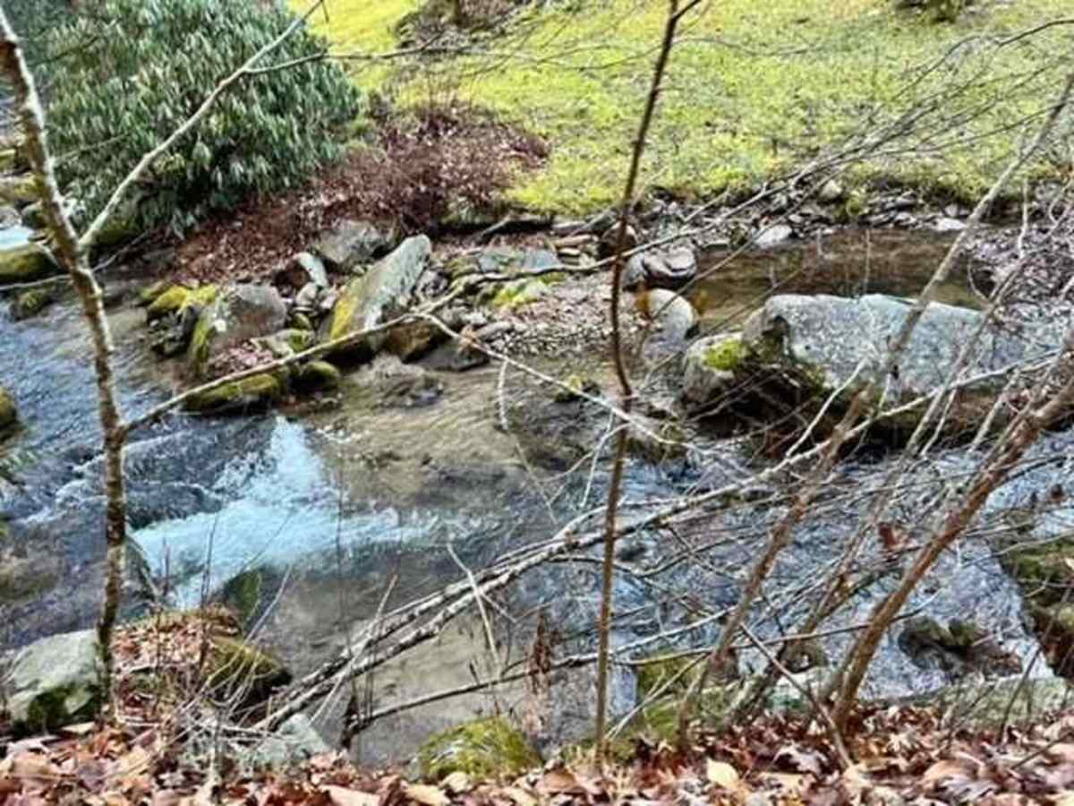 Hurricane Creek photo 2