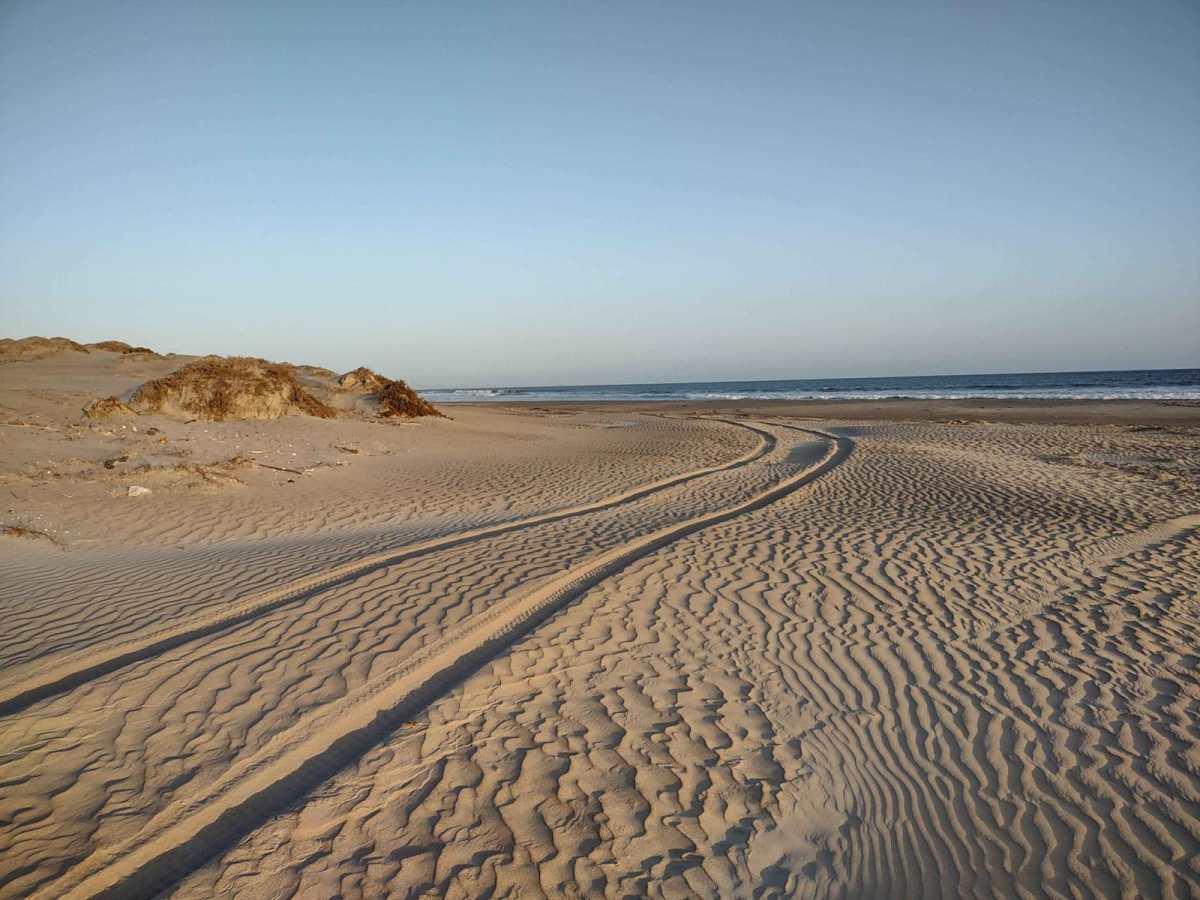 Trail to Scorpion Bay (San Juanico) photo 6