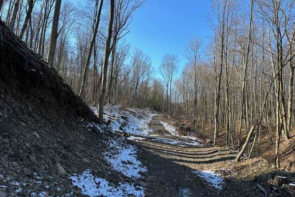 Locust Gap Single Track 7