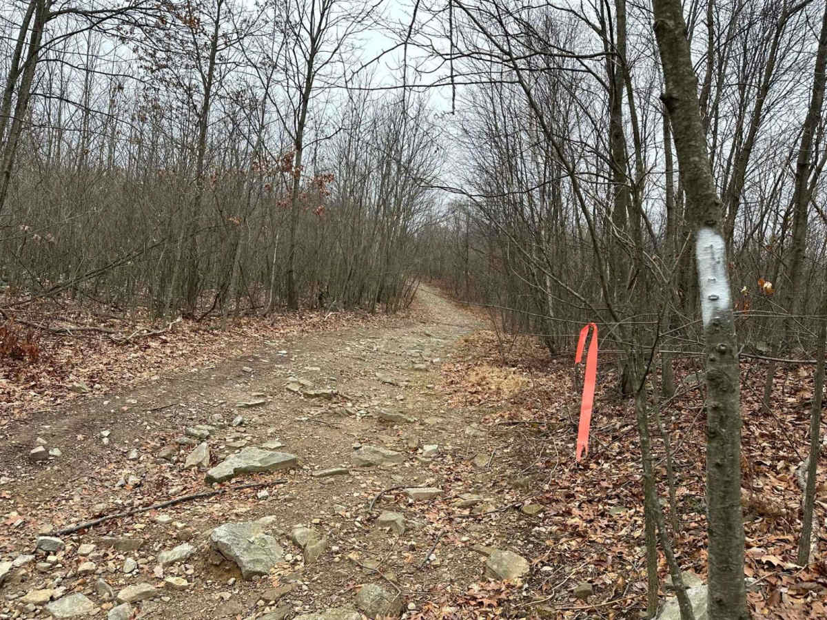 Darkwater 47 trail photo