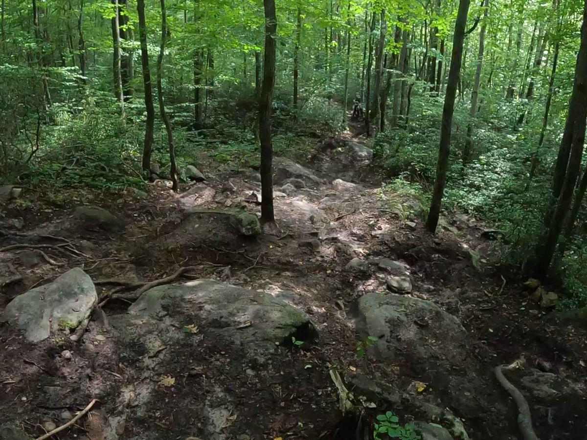 Mountain Ridge ATV Park Singletrack BB photo 2