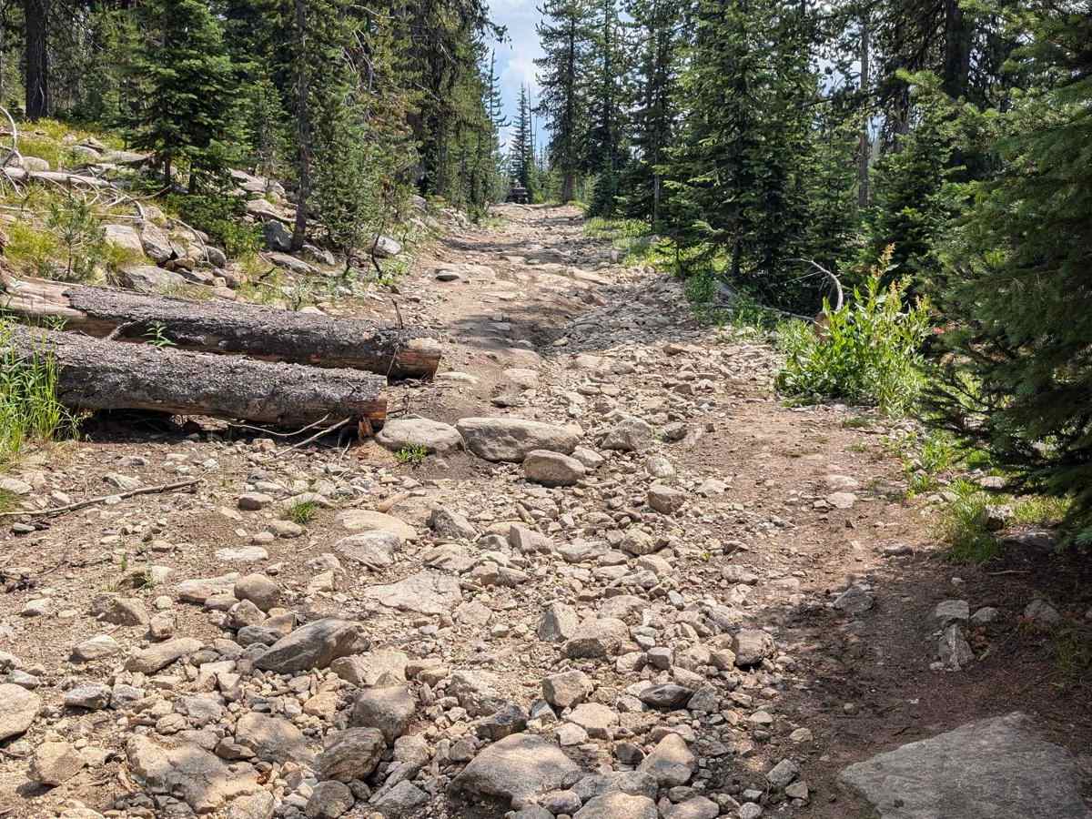 Grouse Creek - Marshall Mountain Road - FS 325 trail photo