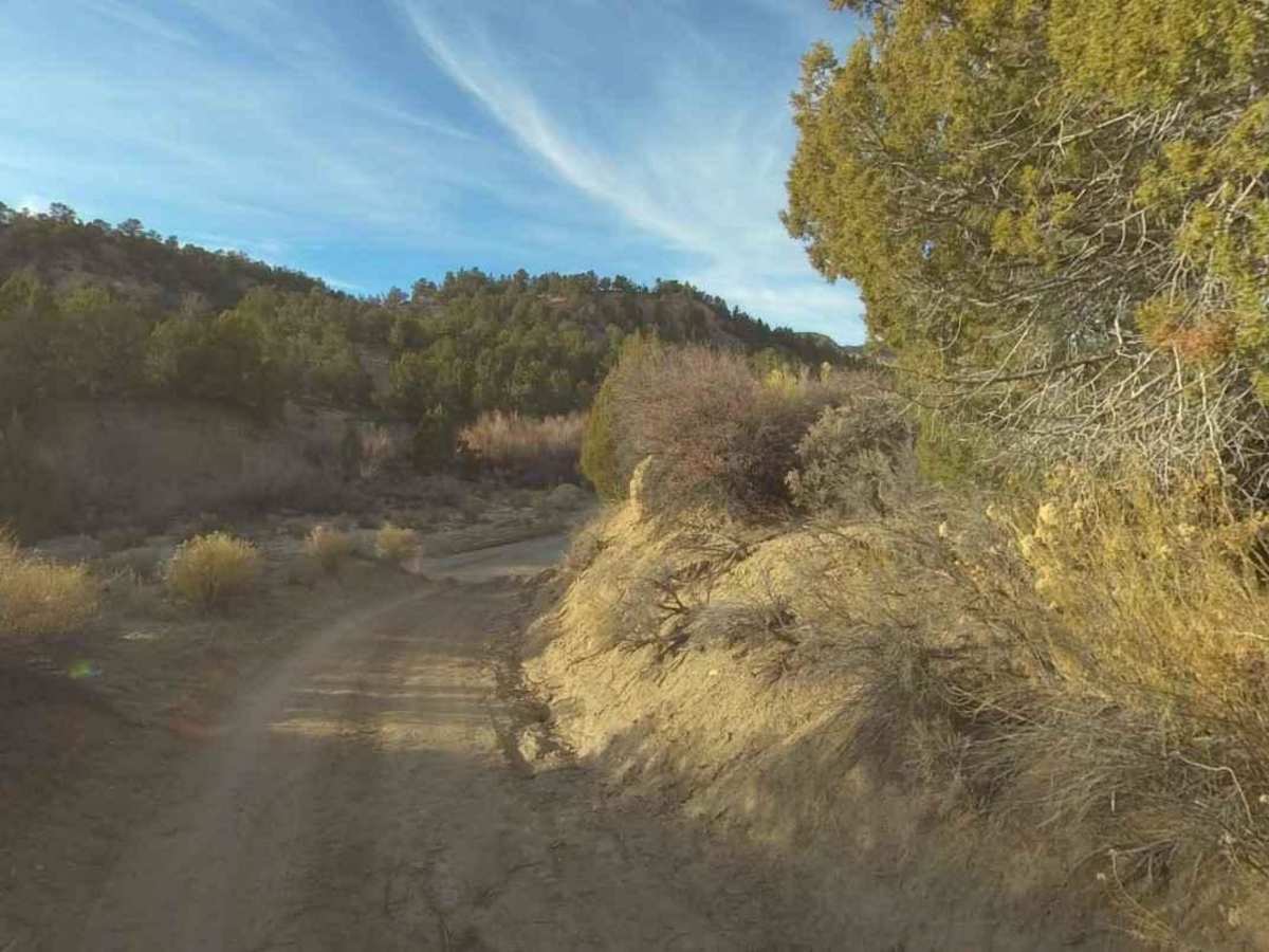 Deer Hollow-K2155 photo 2