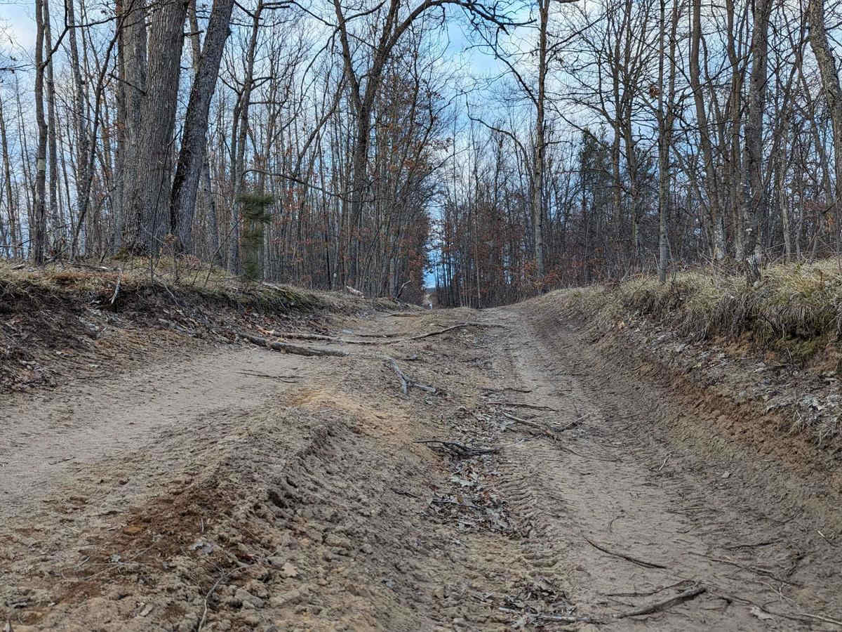 Oak Road photo 6