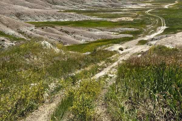 Buffalo Gap Nat Grassland North