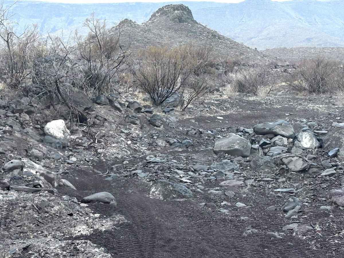 Alkali Spring photo 6