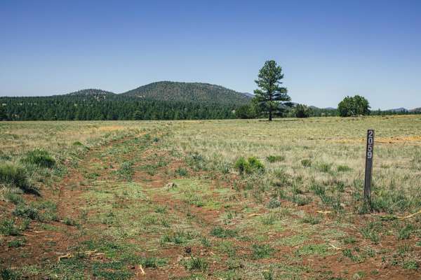 Hunters Meadow