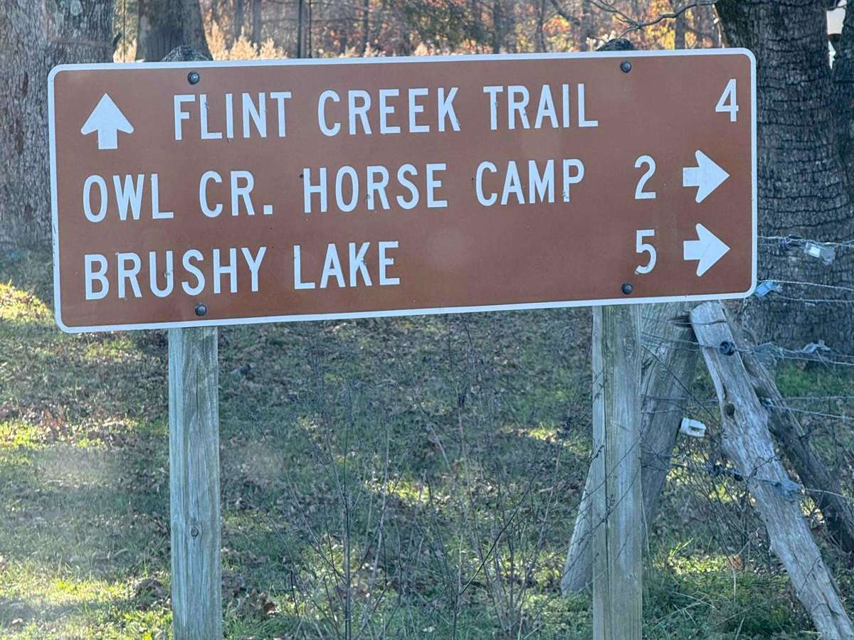 County Road 90 - FS 259 trail photo