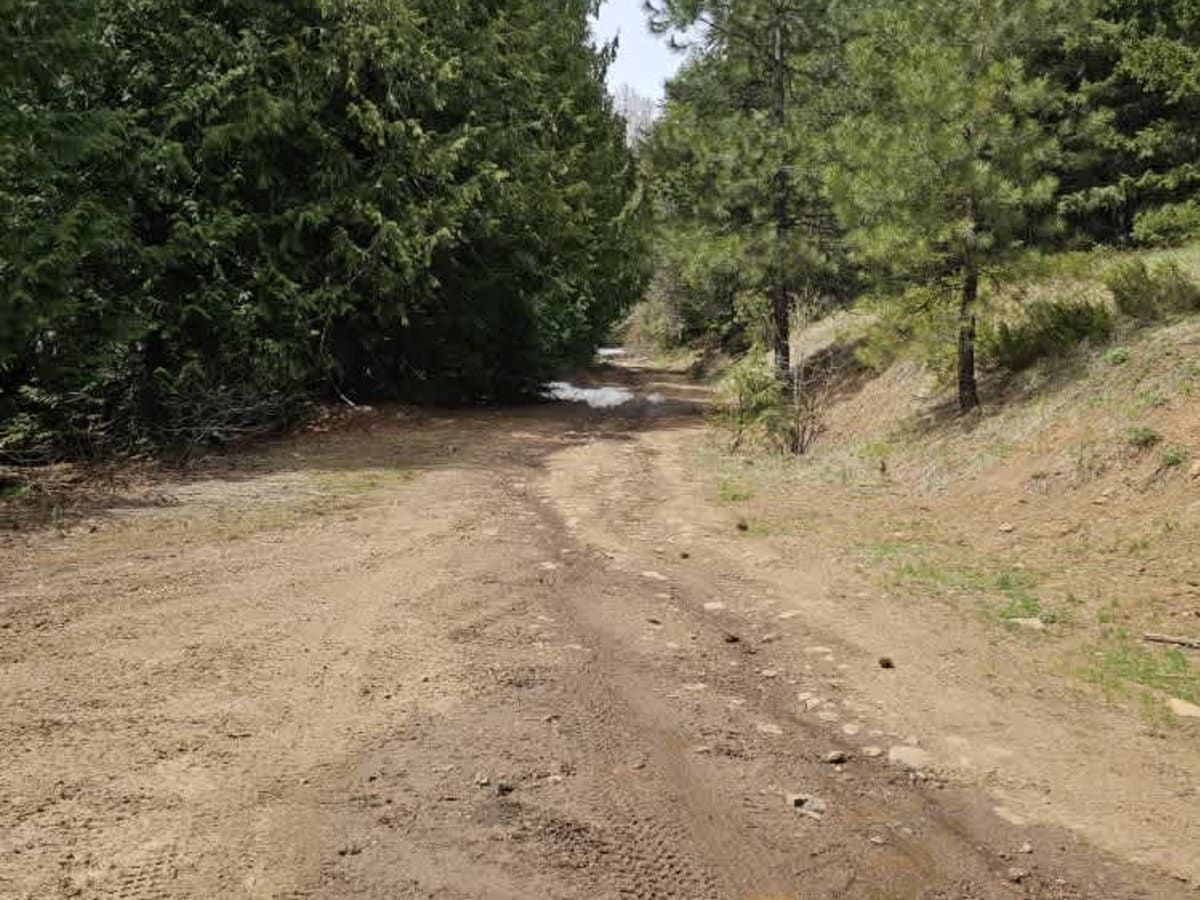 Cedar Creek Road photo 3