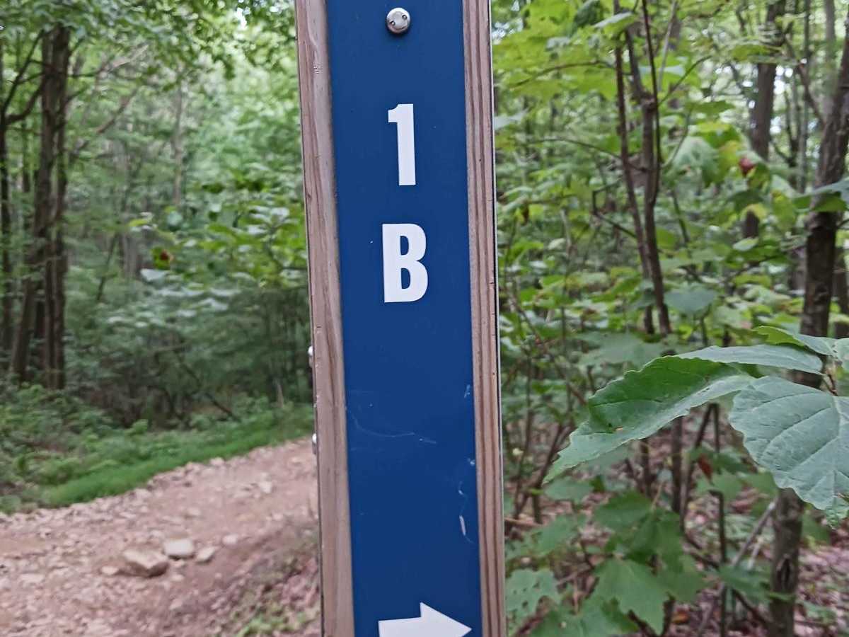 Trail 1B - Rock Run Recreation Area trail photo