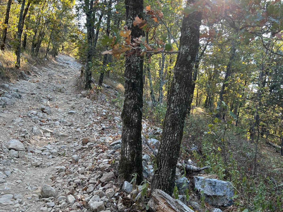 High Point Vista photo 3