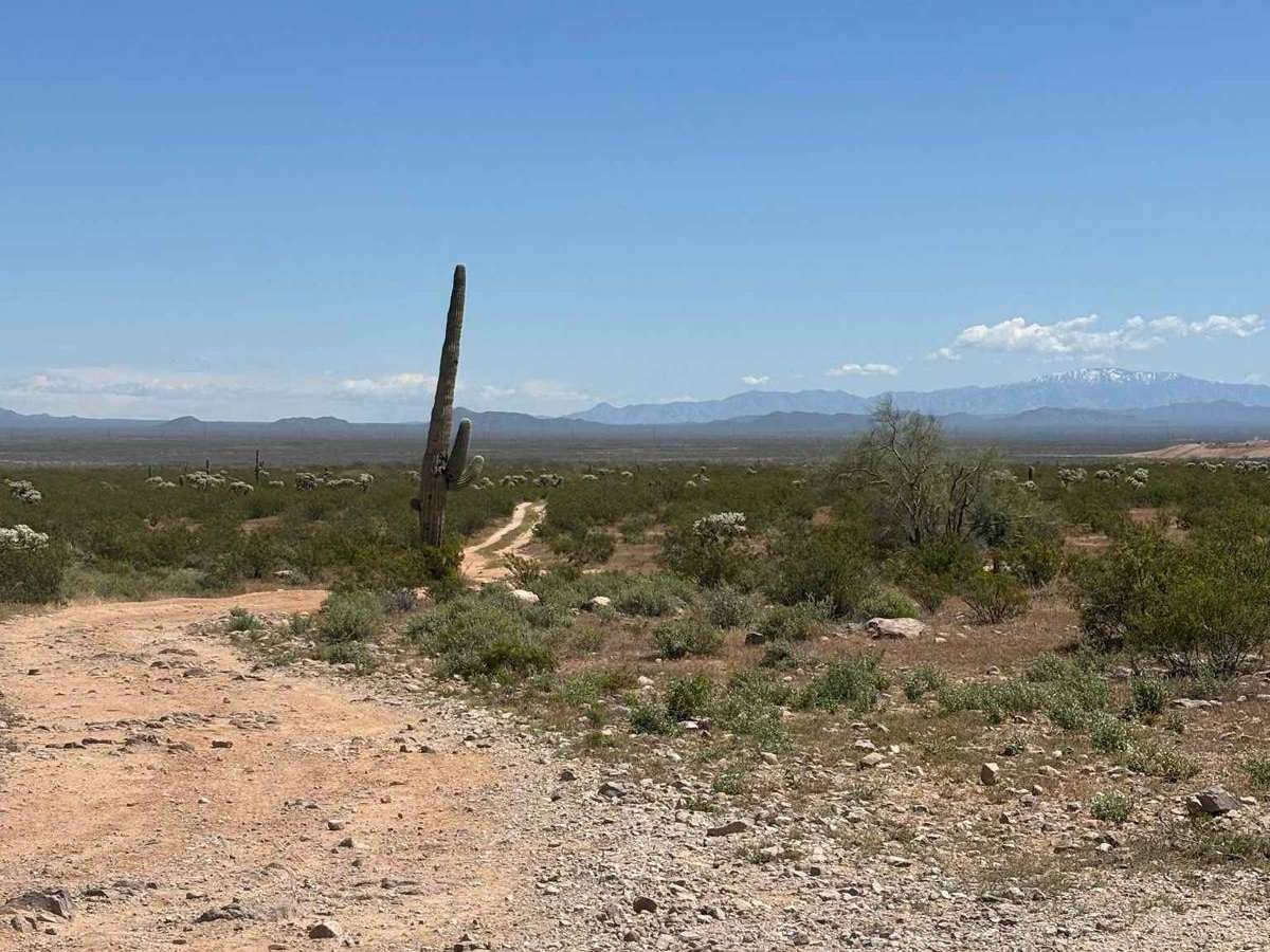 North Picacho Mountains Loop photo 2