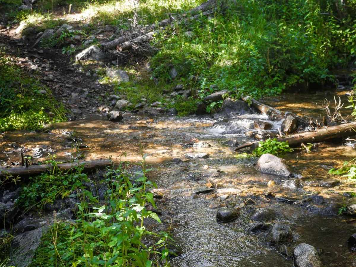 Gold Creek (South) photo 4