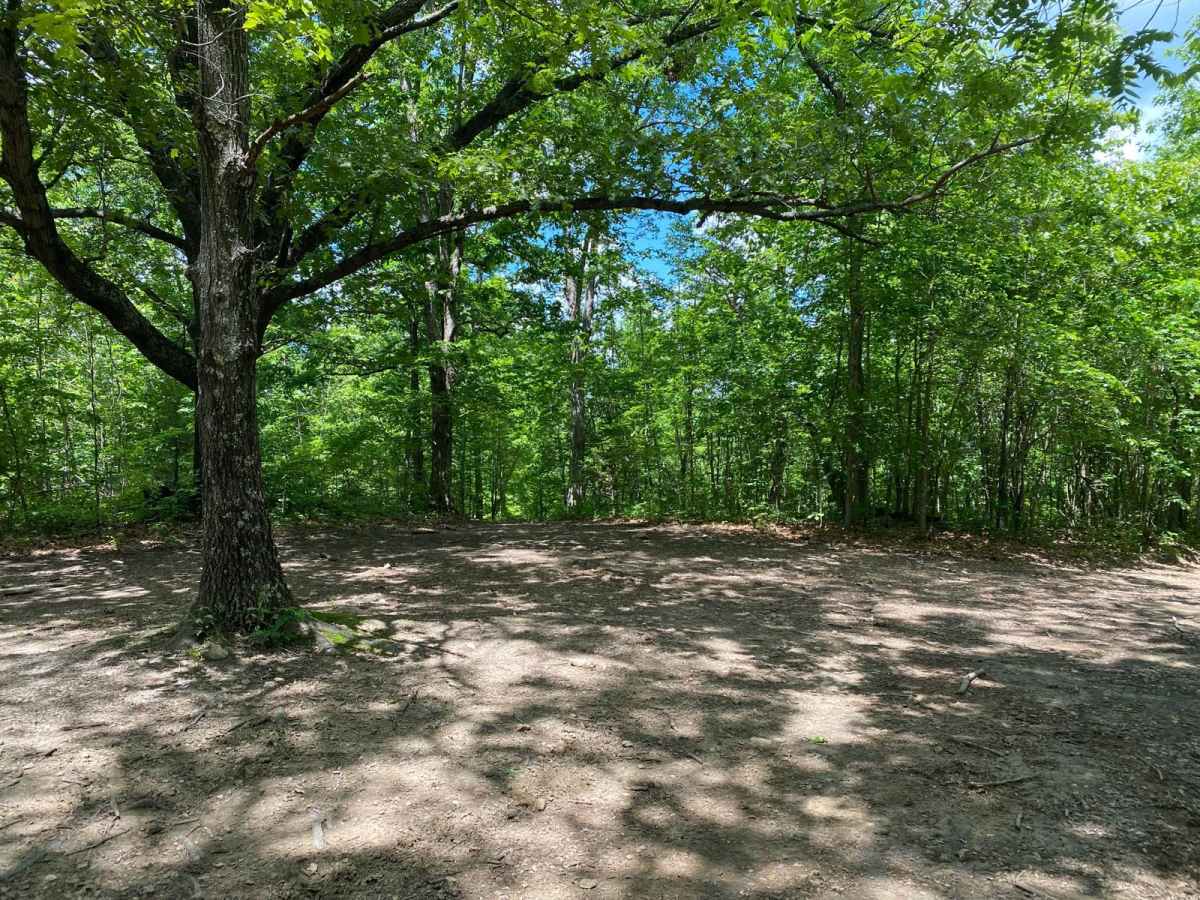 Trigger trail photo