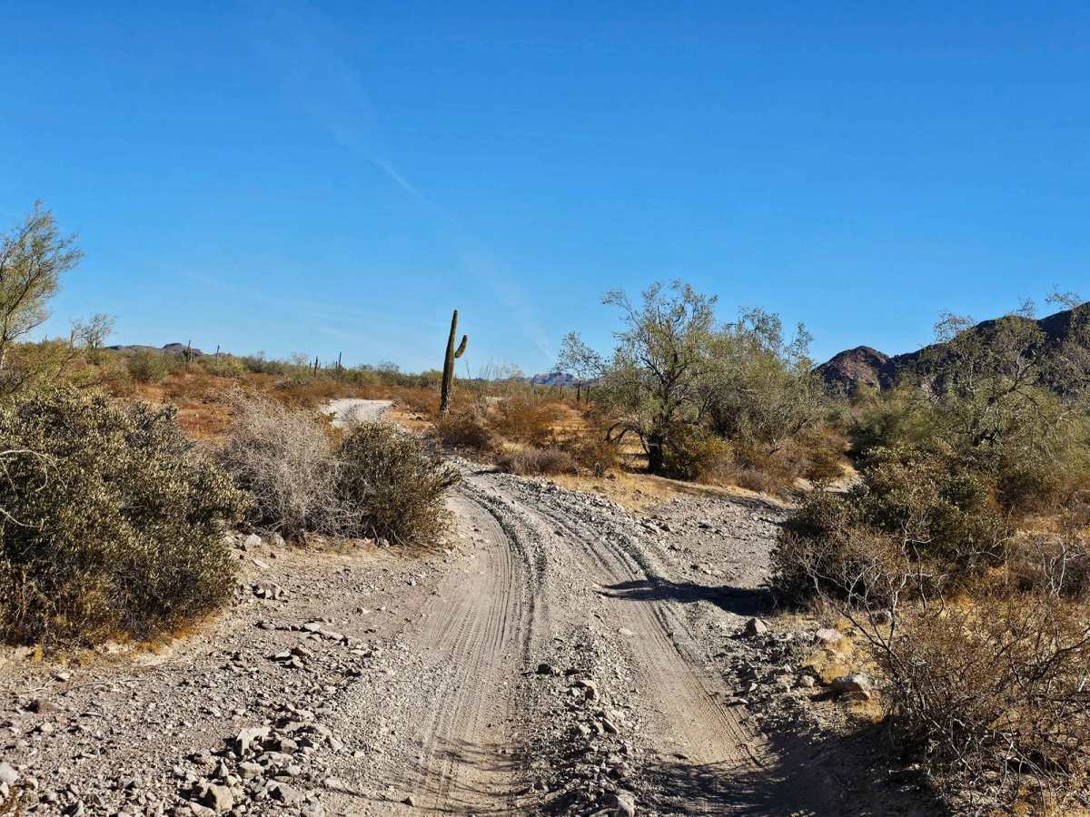 Mid Burro Cutover photo 6