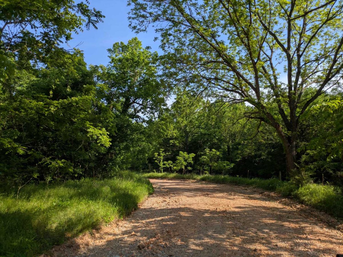 South 4430 photo 2