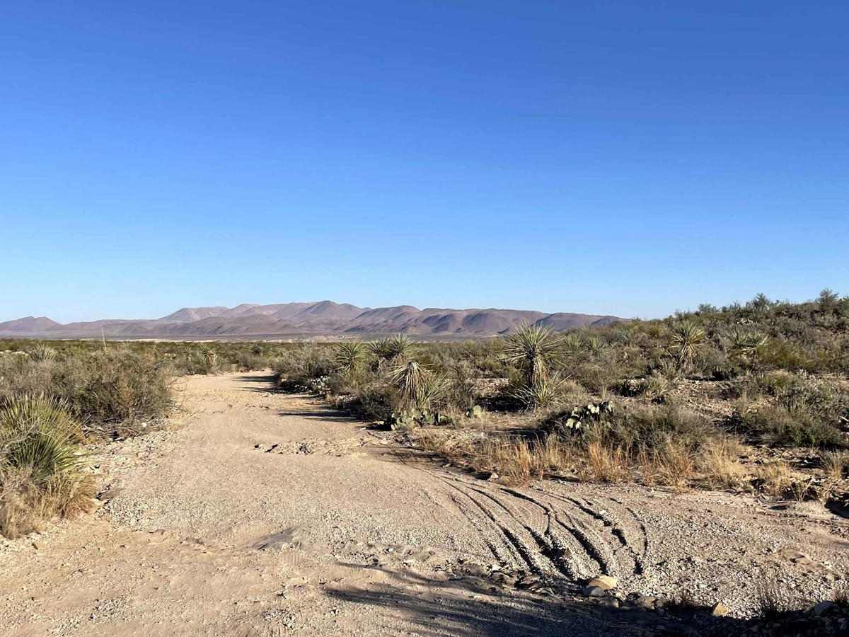 Grapevine Hills Road photo 4