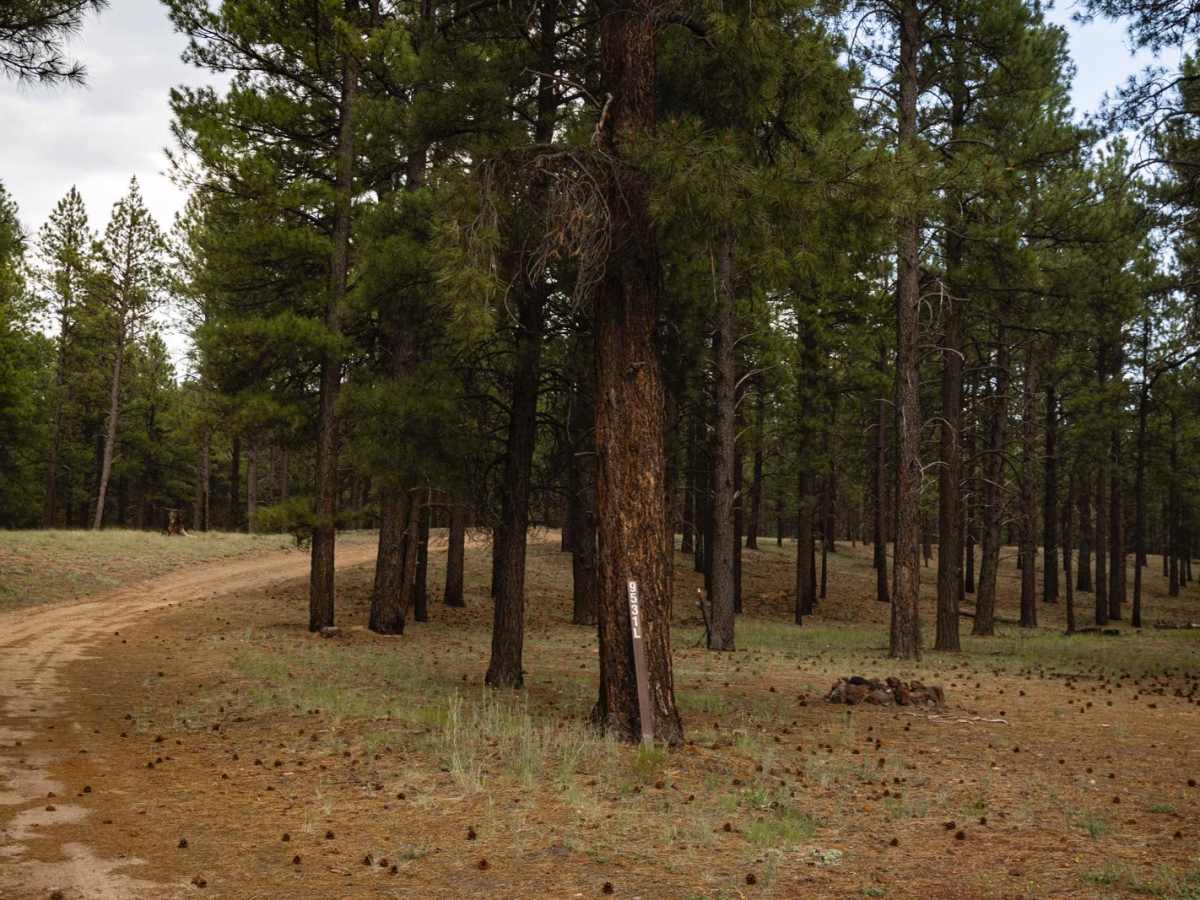 Elk Spring photo 3