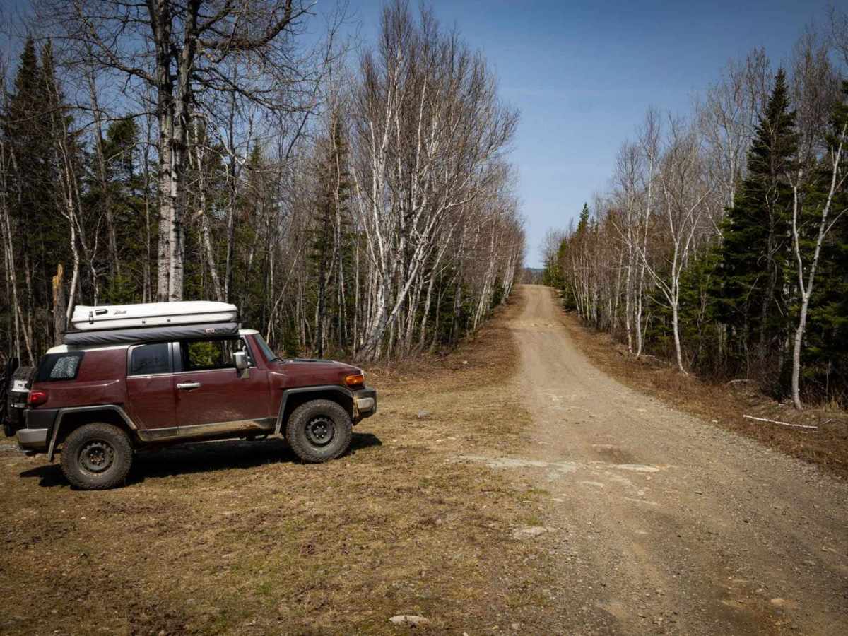 Roger Brook Trail (Part 1) photo 4