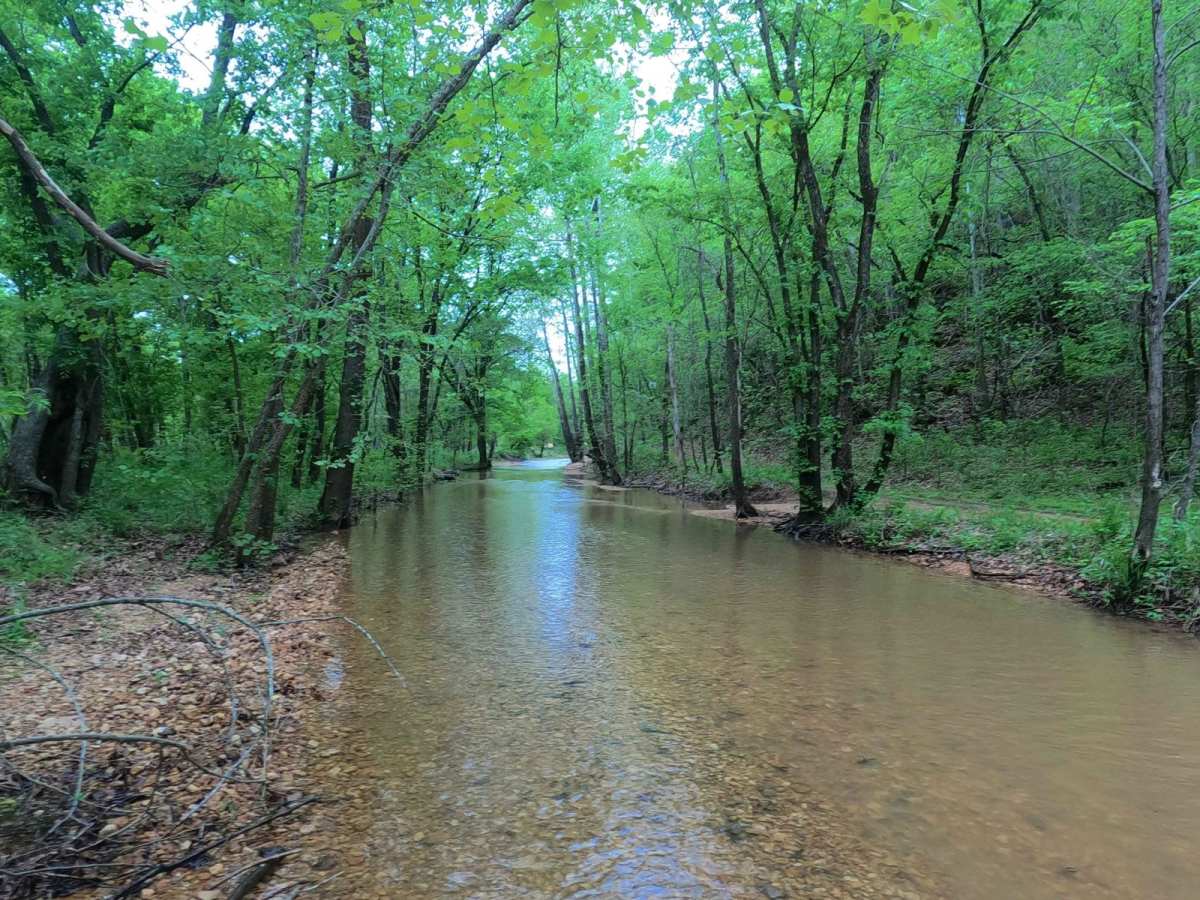 Hackworth Hollow Trail trail photo