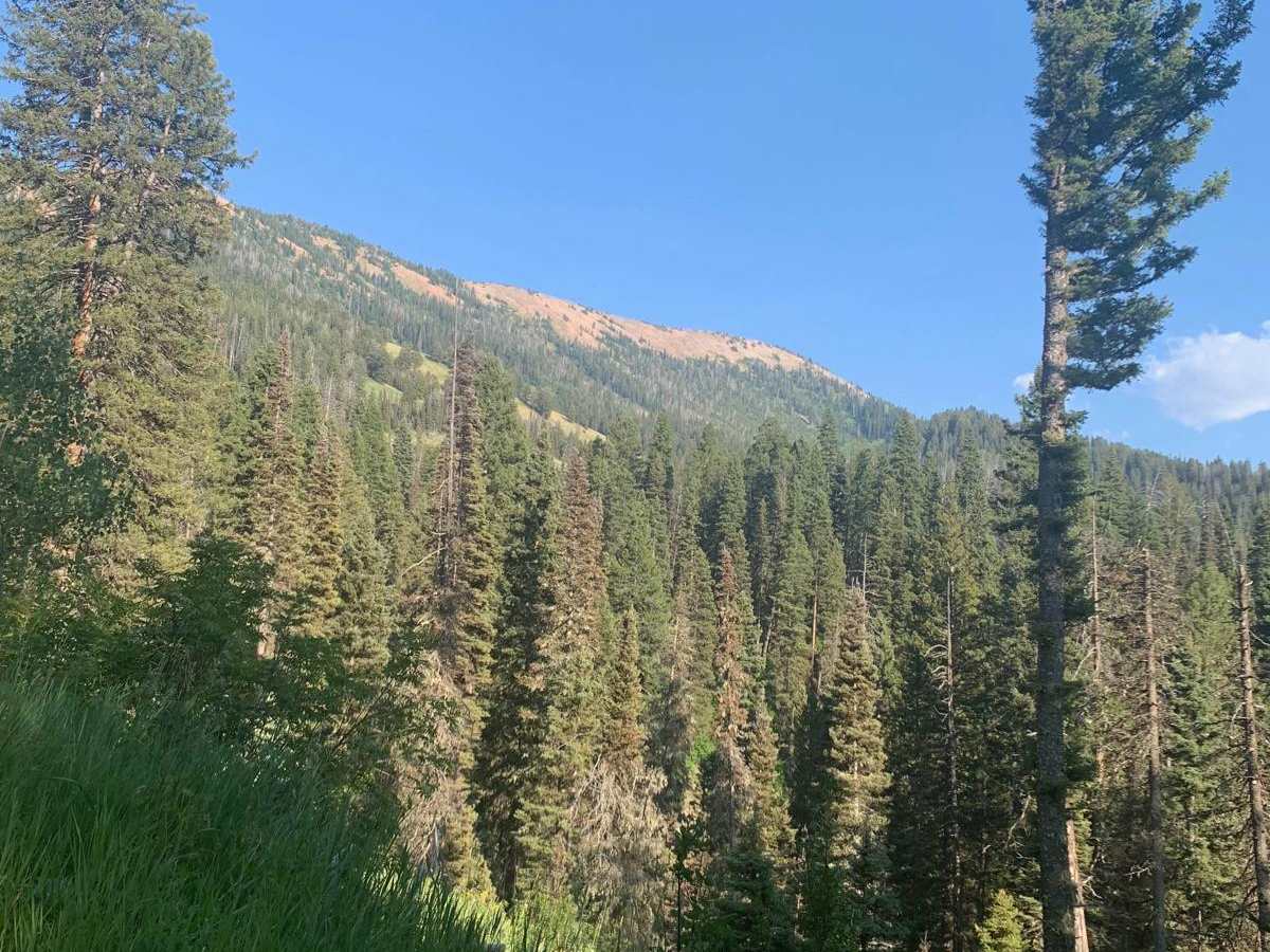 Dry Creek photo 3
