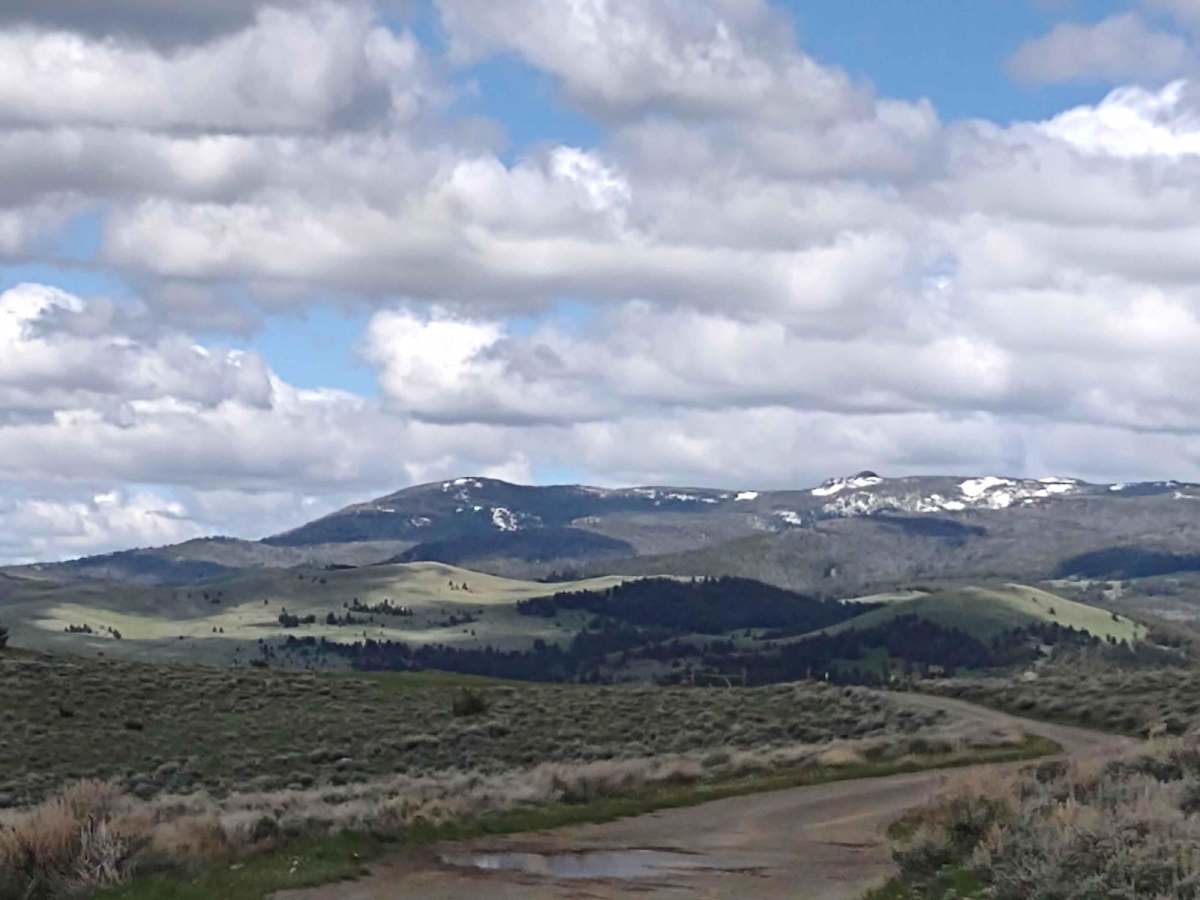 Indian Creek Road photo 6