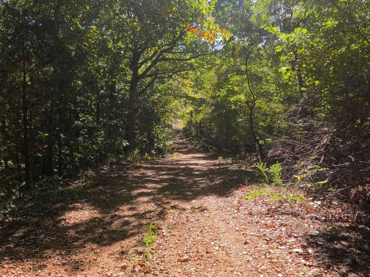 Mays Hollow Road - FS 343 photo 4