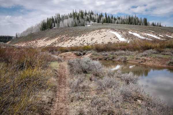 Rock Spring #083