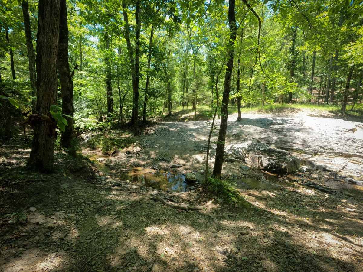 A7 Grandmother's House trail photo