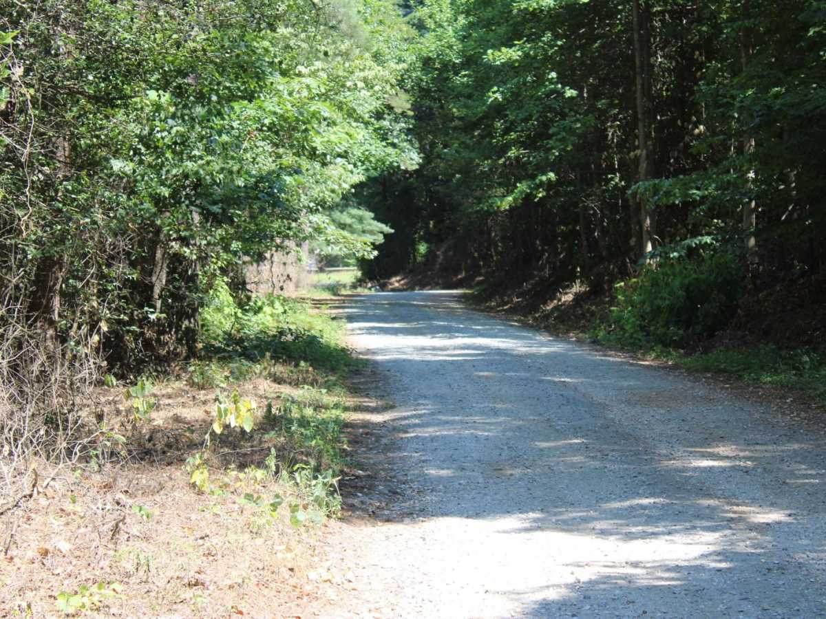 Georgia Mountain Orchard photo 2