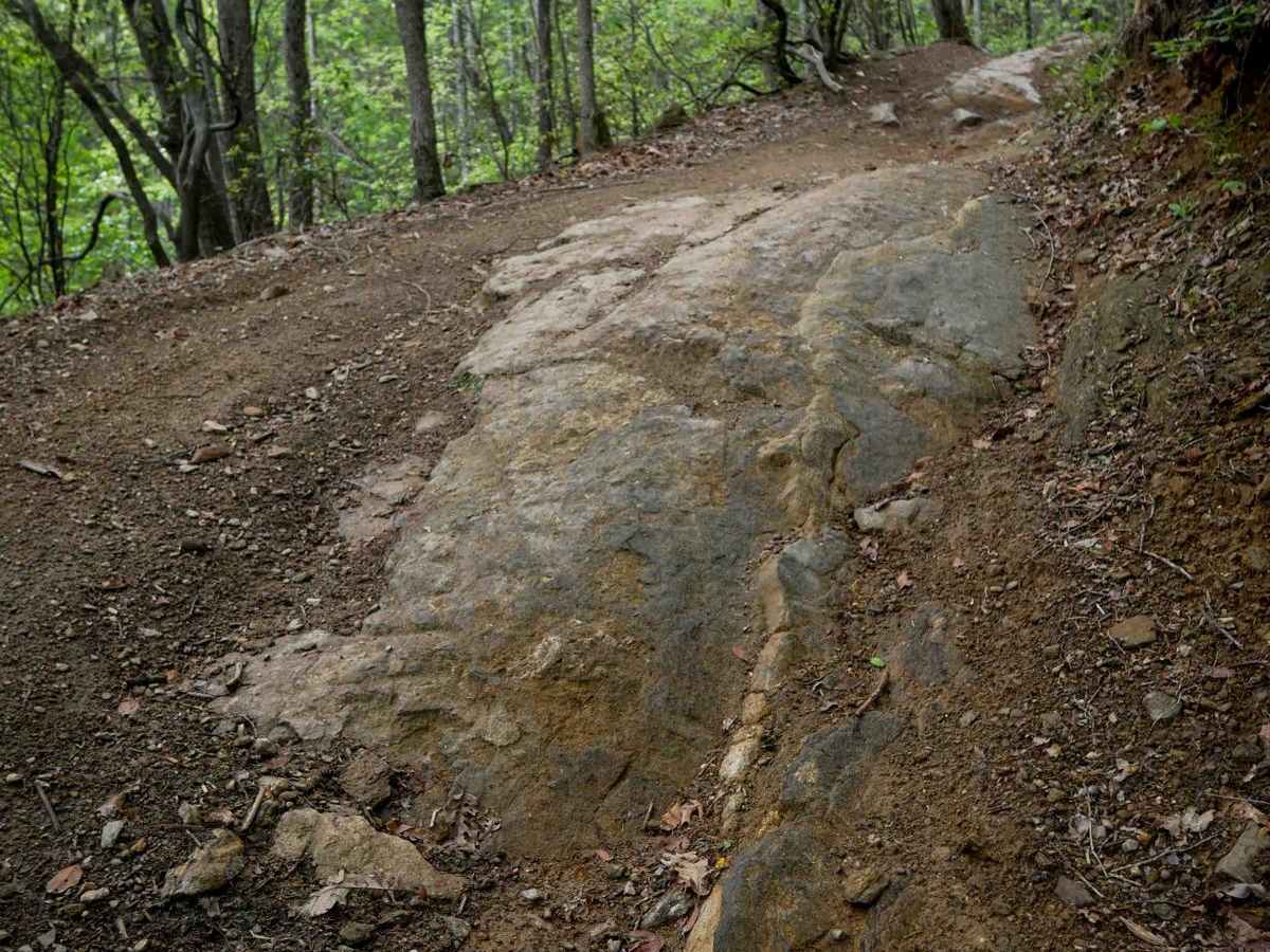 1C (Part 2) trail photo