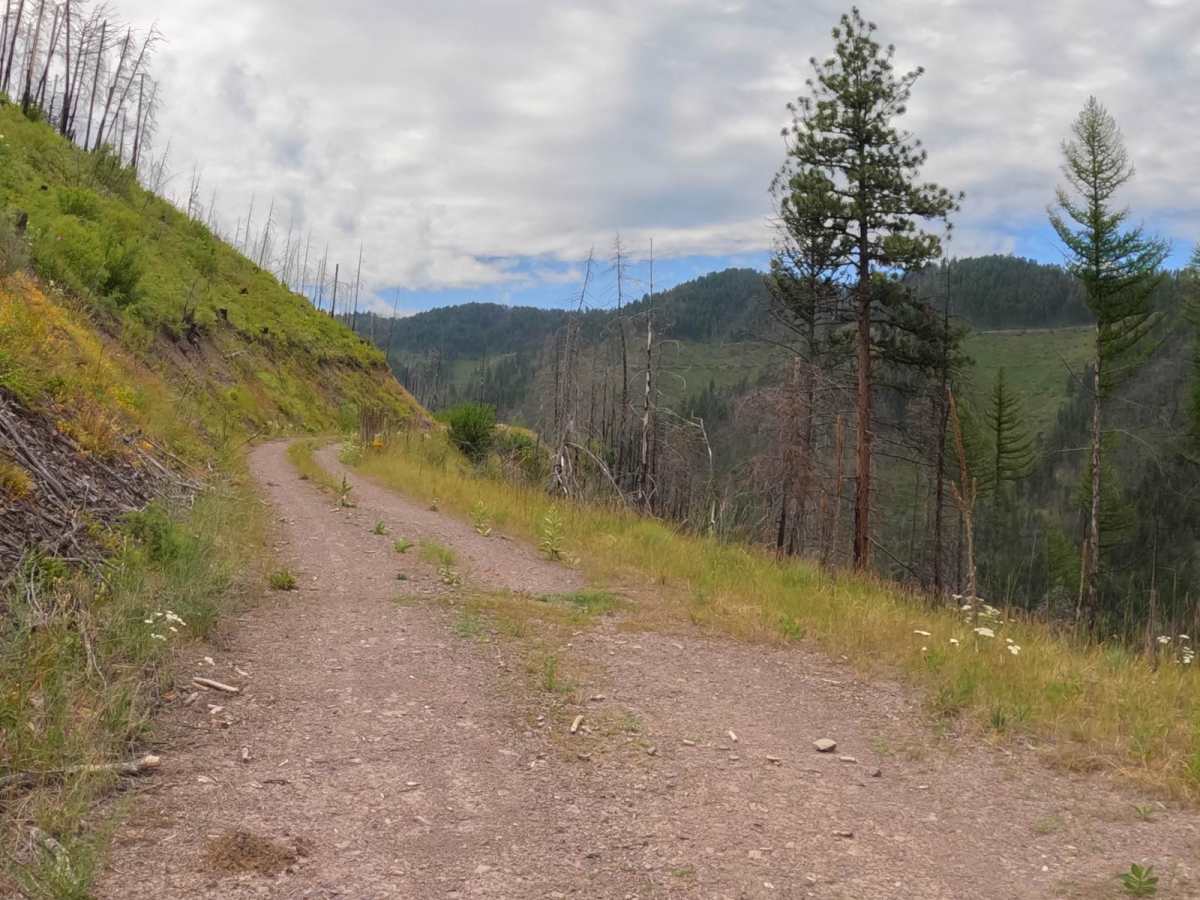 Cougar Creek Loop photo 2